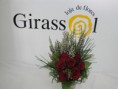 /album/cria%c3%a7%c3%b5es%20girassol/dsc03587-jpg/