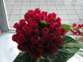 /album/cria%c3%a7%c3%b5es%20girassol/a006-jpg/